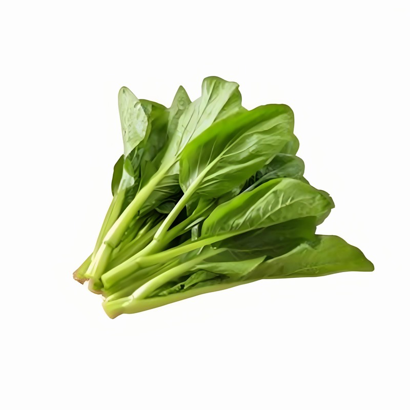 春季常见皮肤病的预防 秋季皮肤病的防治方法