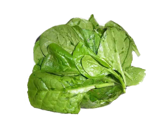 蚕菜